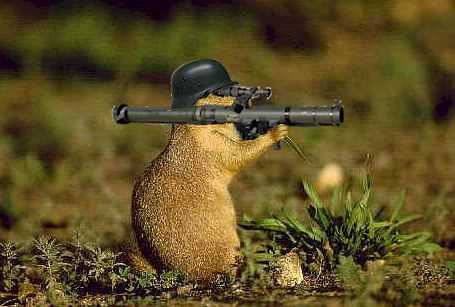 Canadia Infantry