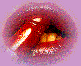 Are your lips always that glossy, or are you just
	    happy to see me?