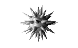 spiky thing